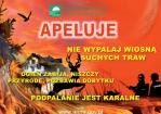 Przypominamy o zakazie wypalania suchych traw i grunt�w rolnych
