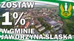 Daj z siebie 1% 